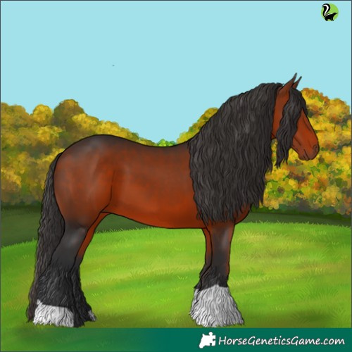 Horse Color:Brown 