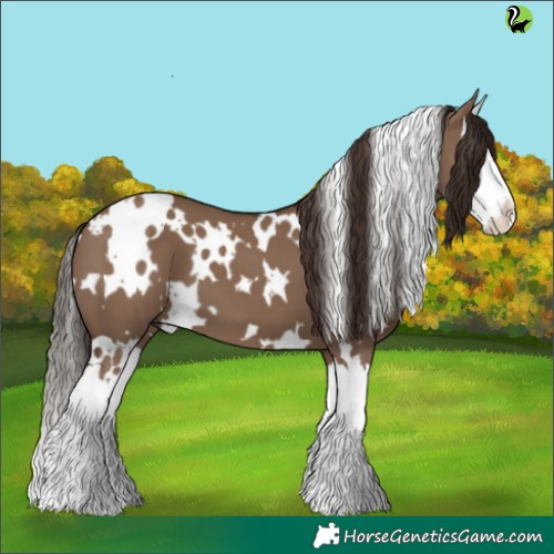 Horse Color:White Spotted Liver Red Dun Splash 
