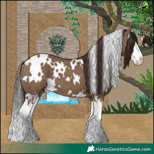 Horse Color:White Spotted Liver Red Dun Splash 