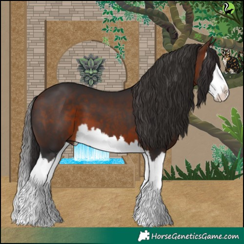 Horse Color:Brown Splash 