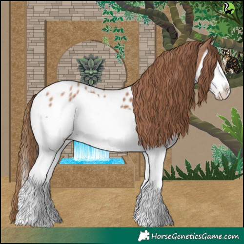 Horse Color:Black Pearl Splash Near Leopard 