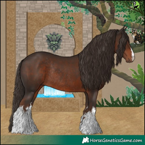 Horse Color:White Spotted Liver Chestnut Rabicano 