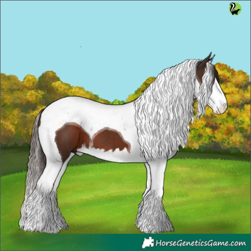 Horse Color:Liver Chestnut Splash Tobiano 