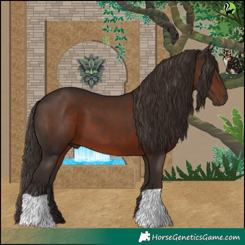 Horse Color:Liver Chestnut 