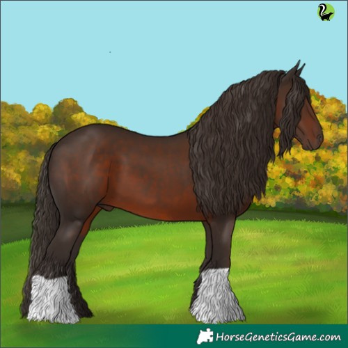 Horse Color:Liver Chestnut 