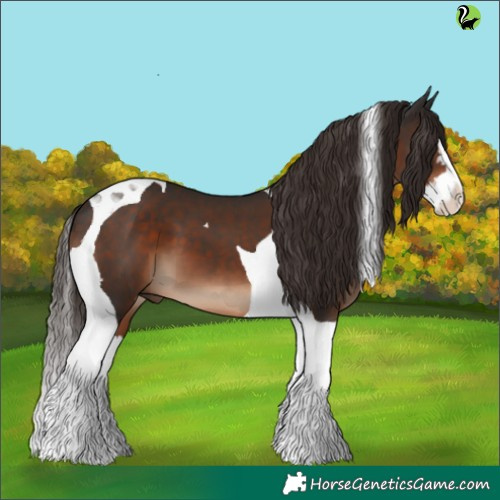 Horse Color:Liver Chestnut Splash Tobiano 