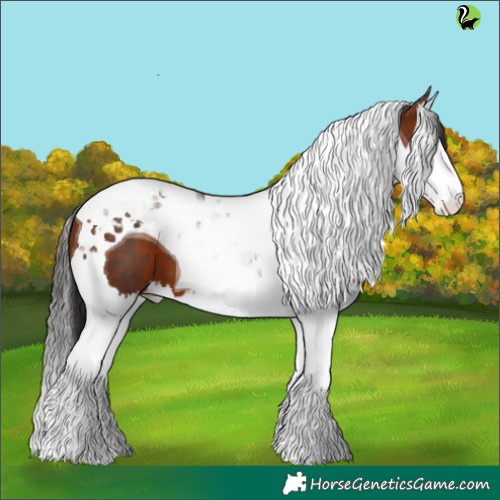 Horse Color:Brown Splash Tobiano 