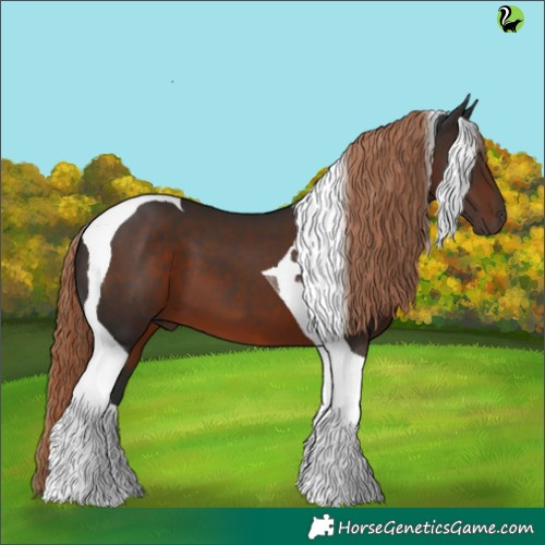 Horse Color:Liver Chestnut Tobiano 