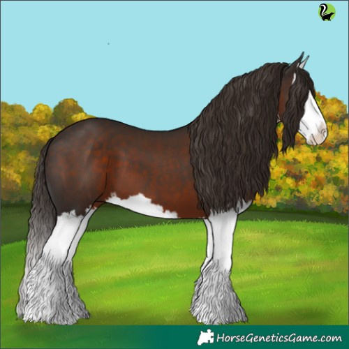 Horse Color:White Spotted Liver Chestnut Splash 