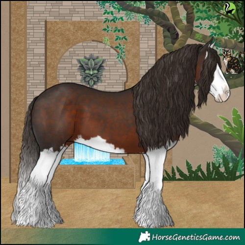 Horse Color:White Spotted Liver Chestnut Splash 
