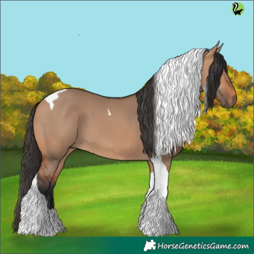 Horse Color:Bay Dun Tobiano 