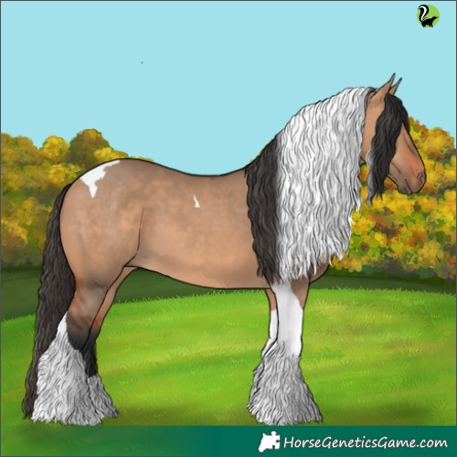 Horse Color:Bay Dun Tobiano 