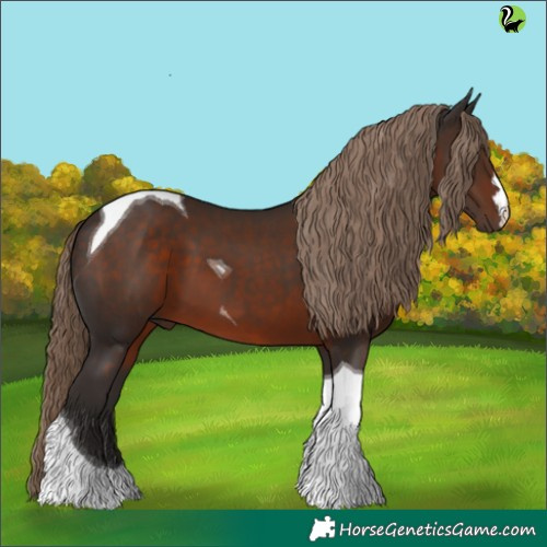 Horse Color:Liver Chestnut Tobiano 