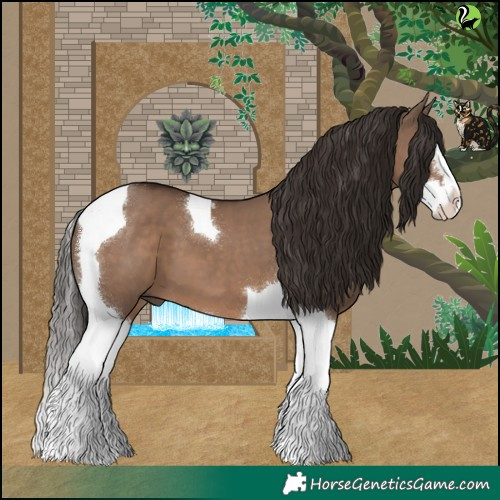 Horse Color:Liver Red Dun Splash Tobiano 