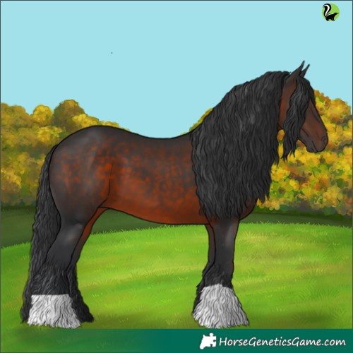 Horse Color:Brown 