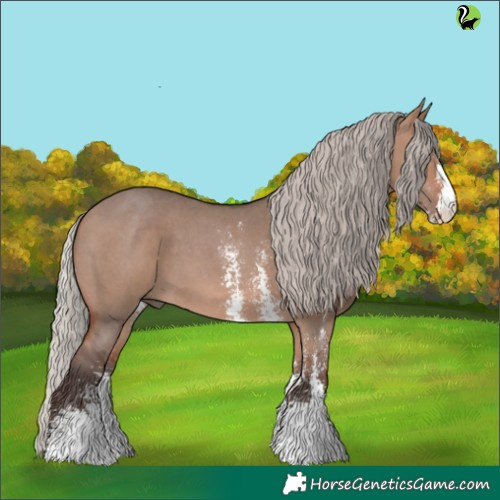 Horse Color:Silver Brown Dun Sabino 