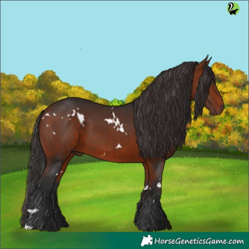 Horse Color:White Spotted Brown 