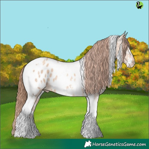 Horse Color:Gold Champagne Dun Sabino Tobiano Appaloosa 