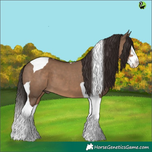 Horse Color:Liver Red Dun Splash Tobiano 
