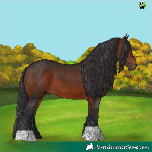 Horse Color:Brown 
