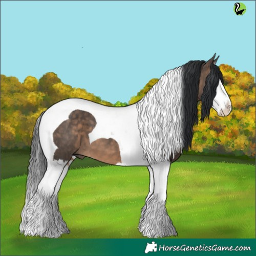 Horse Color:Brown Dun Splash Tobiano 