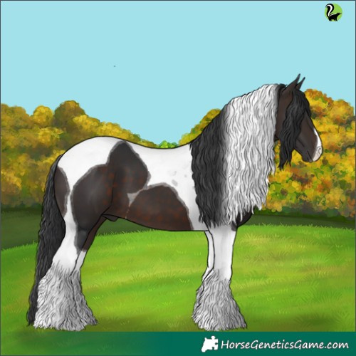 Horse Color:Brown Tobiano 