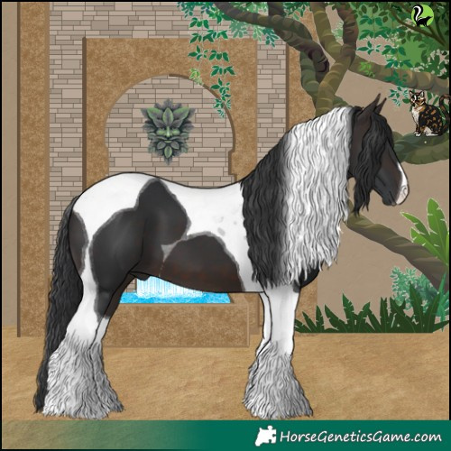 Horse Color:Brown Tobiano 