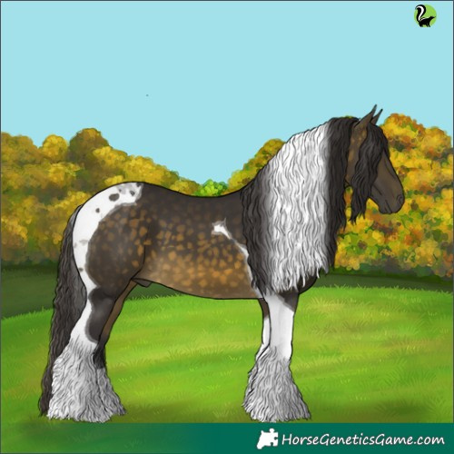 Horse Color:Buckskin Tobiano 