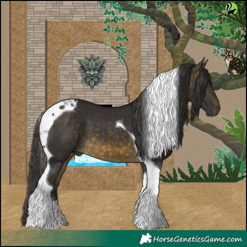 Horse Color:Buckskin Tobiano 