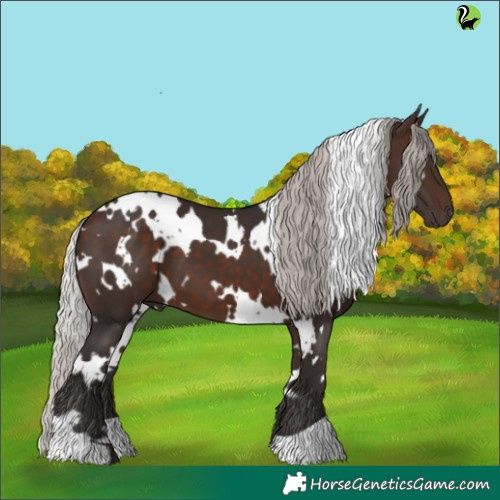 Horse Color:White Spotted Silver Brown 