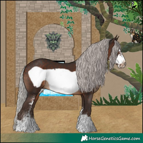 Horse Color:Silver Brown Sabino Frame 