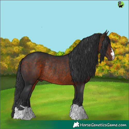 Horse Color:Brown Rabicano 
