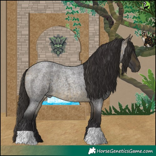 Horse Color:Buckskin Roan 