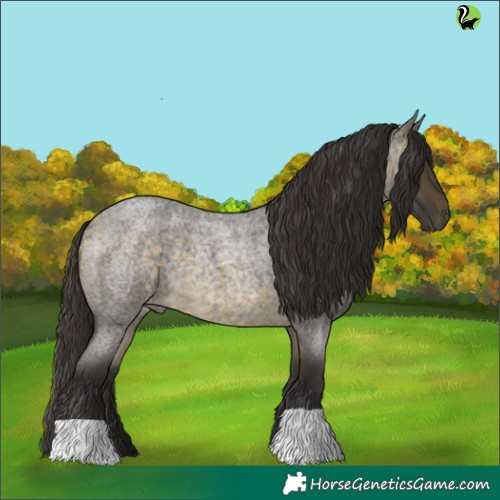 Horse Color:Buckskin Roan 