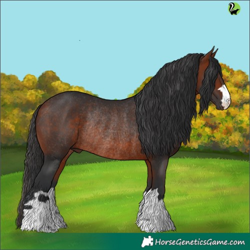 Horse Color:Brown Rabicano 