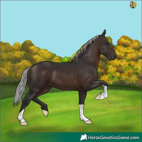 Horse Color:Silver Brown 