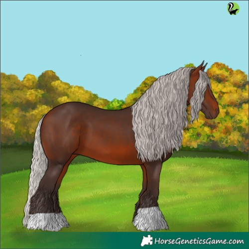 Horse Color:Silver Brown 