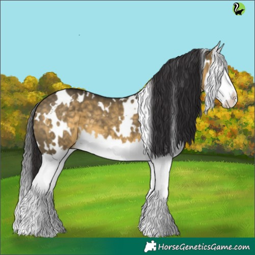 Horse Color:White Spotted Buckskin Dun Splash 