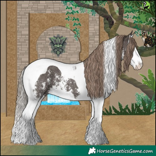 Horse Color:Liver Chestnut Sabino Splash Tobiano 