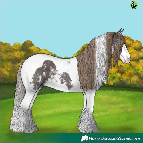 Horse Color:Liver Chestnut Sabino Splash Tobiano 