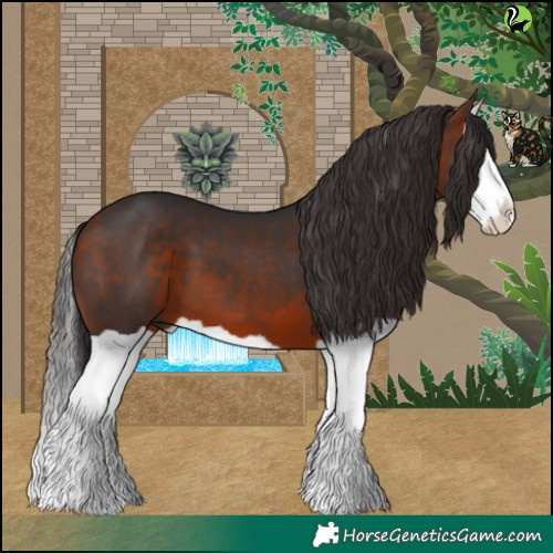 Horse Color:Bay Splash 