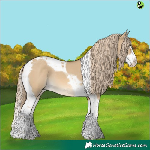 Horse Color:Chocolate Palomino Dun Splash Tobiano 