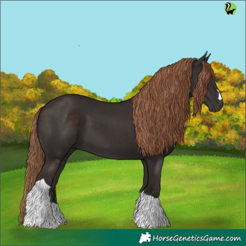 Horse Color:Liver Chestnut Tobiano 