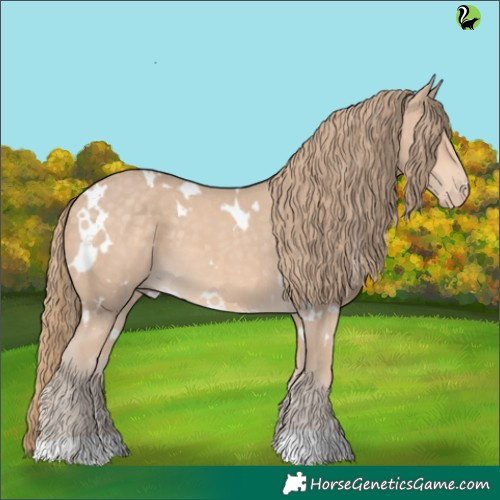 Horse Color:White Spotted Perlino 