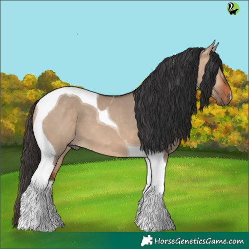 Horse Color:Bay Dun Tobiano 