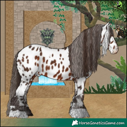 Horse Color:White Spotted Liver Chestnut Near Leopard 