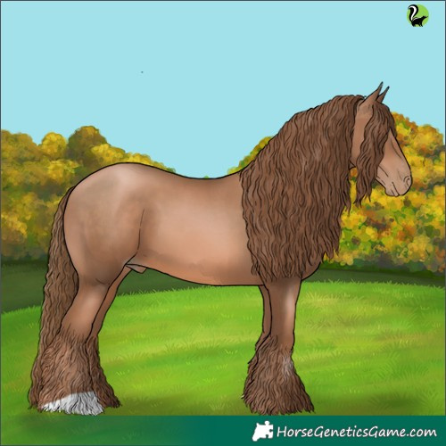 Horse Color:Liver Chestnut Pearl 