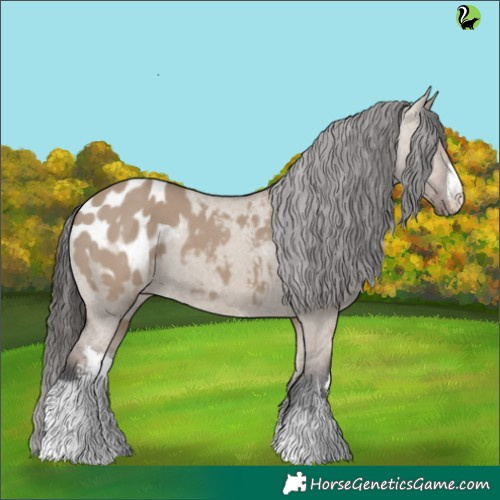Horse Color:White Spotted Liver Red Dun Appaloosa 