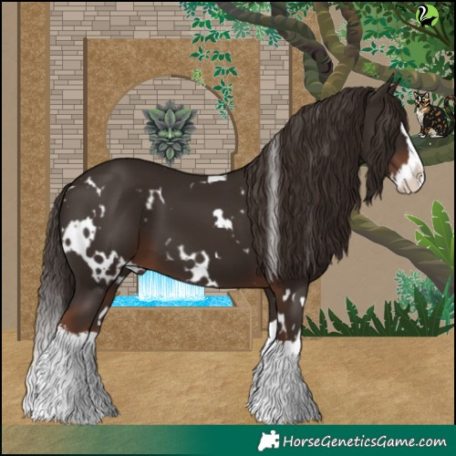 Horse Color:White Spotted Liver Chestnut Splash 