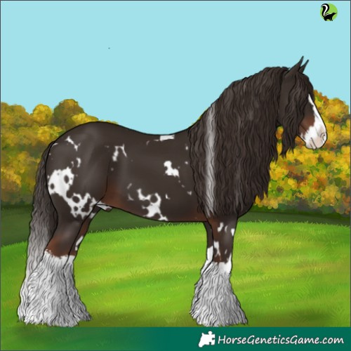 Horse Color:White Spotted Liver Chestnut Splash 